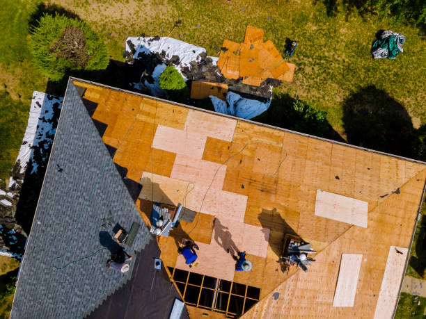 Best Roof Waterproofing Services  in Jasmine Estates, FL